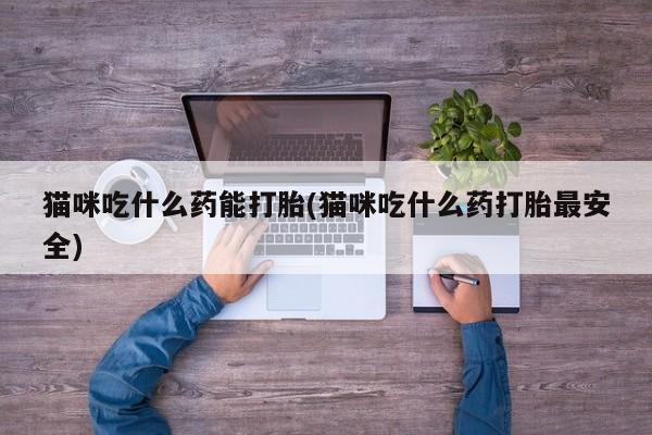 堕胎药怎么购买猫咪吃什么药能打胎(猫咪吃什么药打胎最安全)