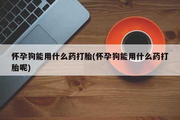 堕胎药怎么购买怀孕狗能用什么药打胎(怀孕狗能用什么药打胎呢)